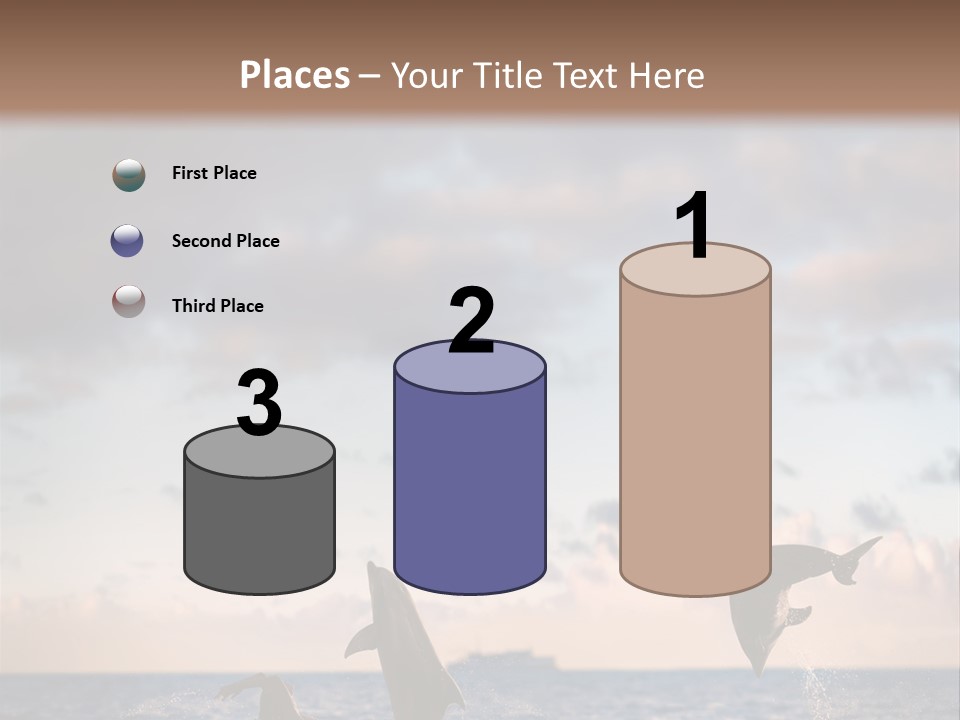 Swimming Wildlife Summer PowerPoint Template