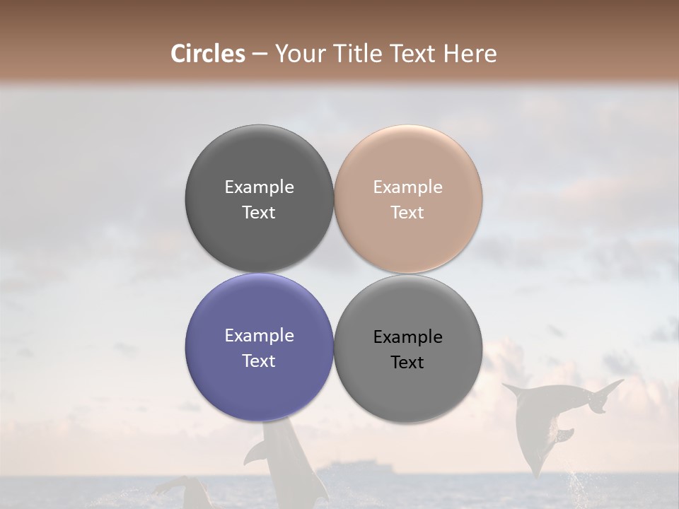 Swimming Wildlife Summer PowerPoint Template