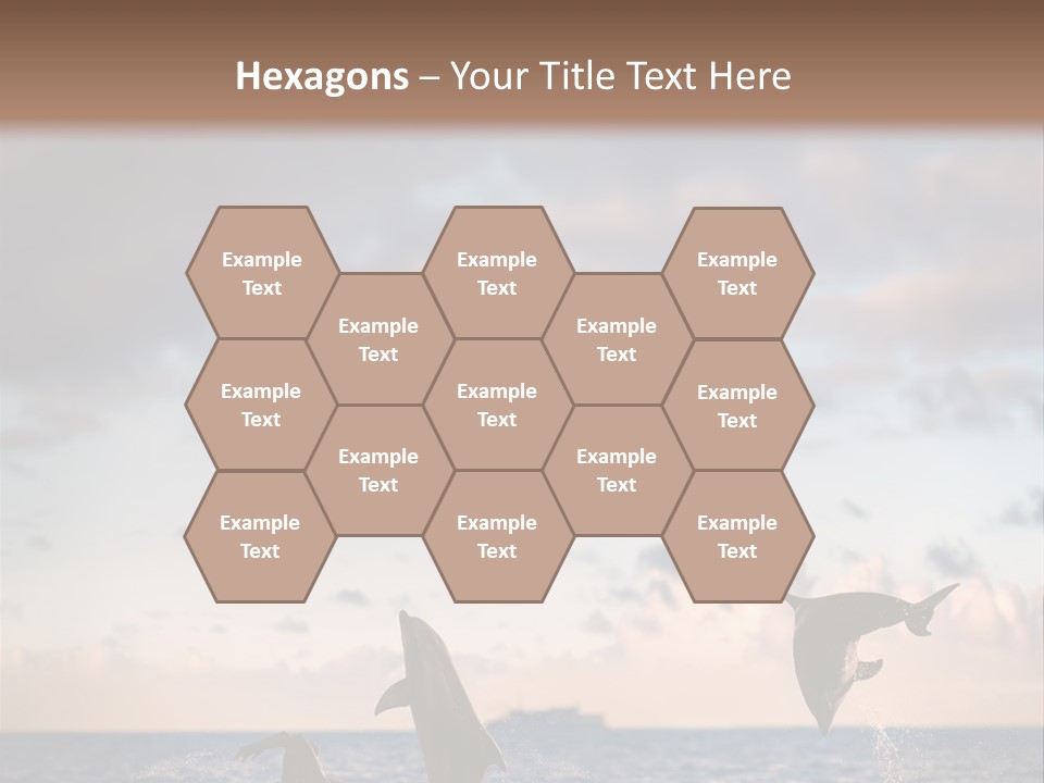 Swimming Wildlife Summer PowerPoint Template