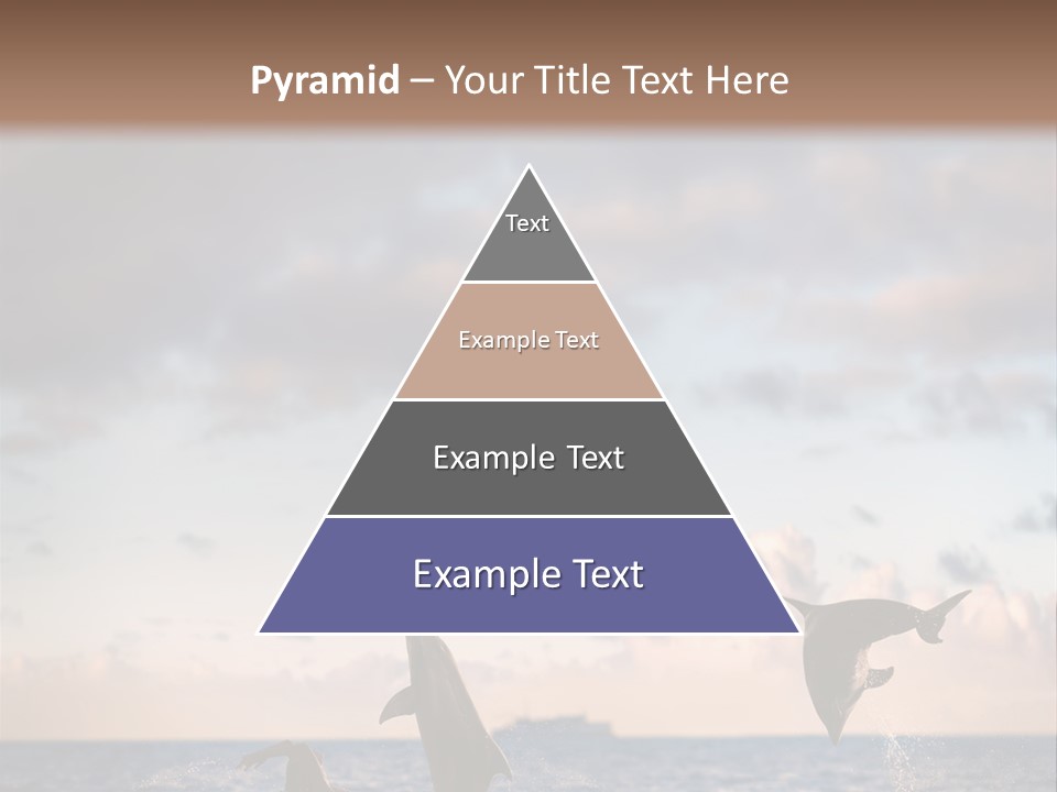 Swimming Wildlife Summer PowerPoint Template