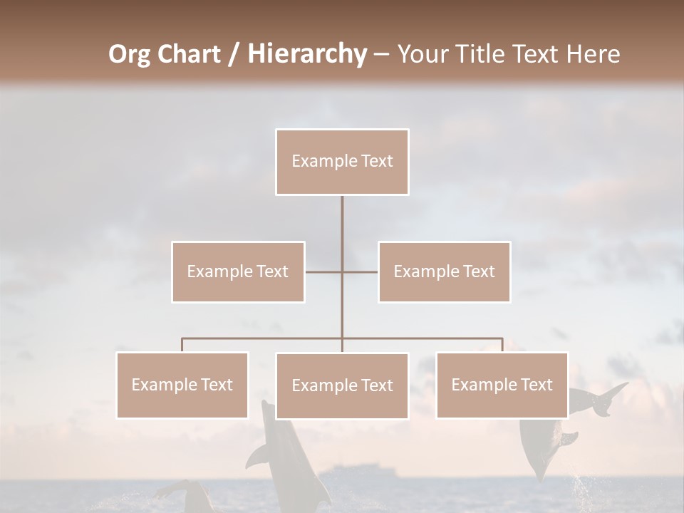 Swimming Wildlife Summer PowerPoint Template
