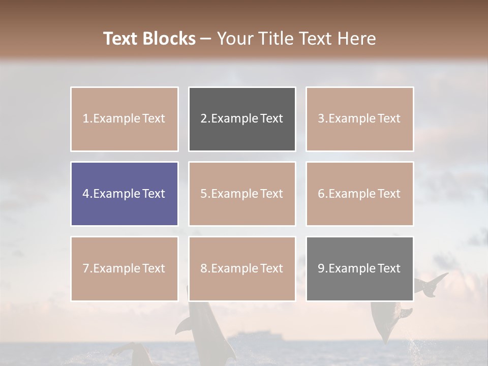 Swimming Wildlife Summer PowerPoint Template