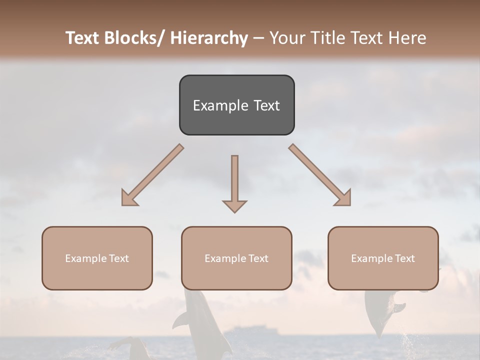 Swimming Wildlife Summer PowerPoint Template