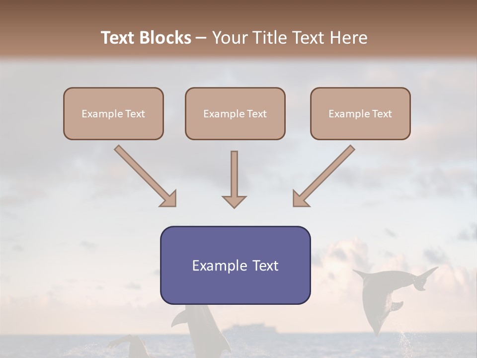 Swimming Wildlife Summer PowerPoint Template