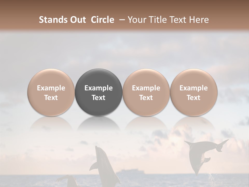 Swimming Wildlife Summer PowerPoint Template