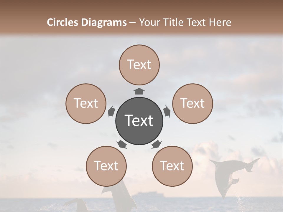 Swimming Wildlife Summer PowerPoint Template