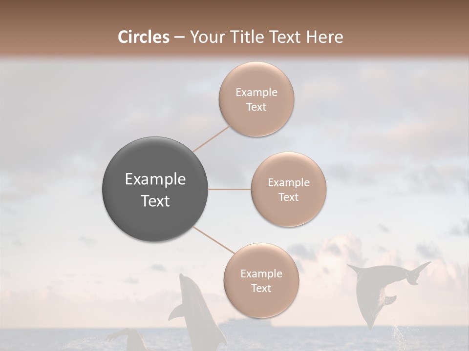 Swimming Wildlife Summer PowerPoint Template