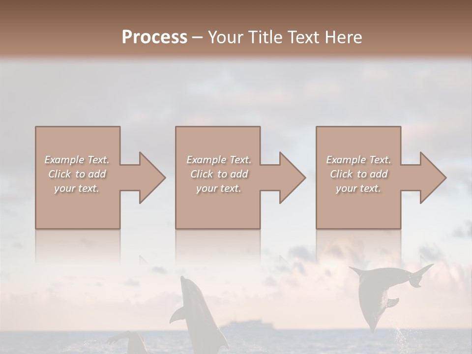 Swimming Wildlife Summer PowerPoint Template