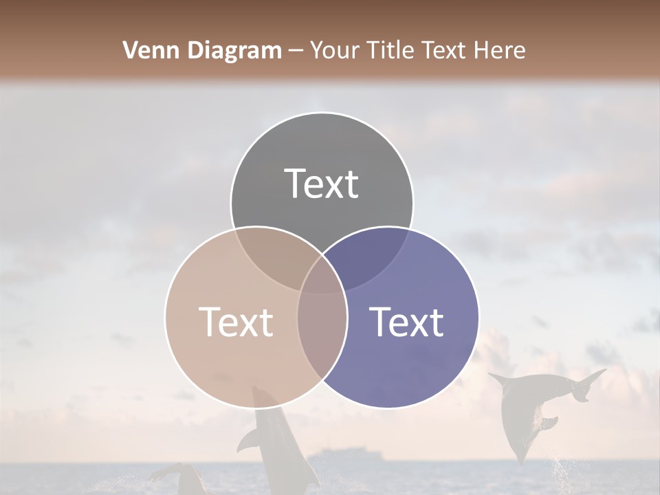 Swimming Wildlife Summer PowerPoint Template