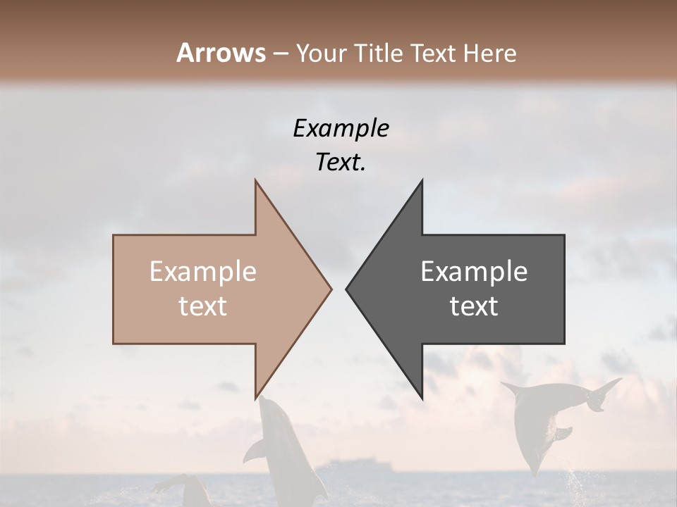 Swimming Wildlife Summer PowerPoint Template