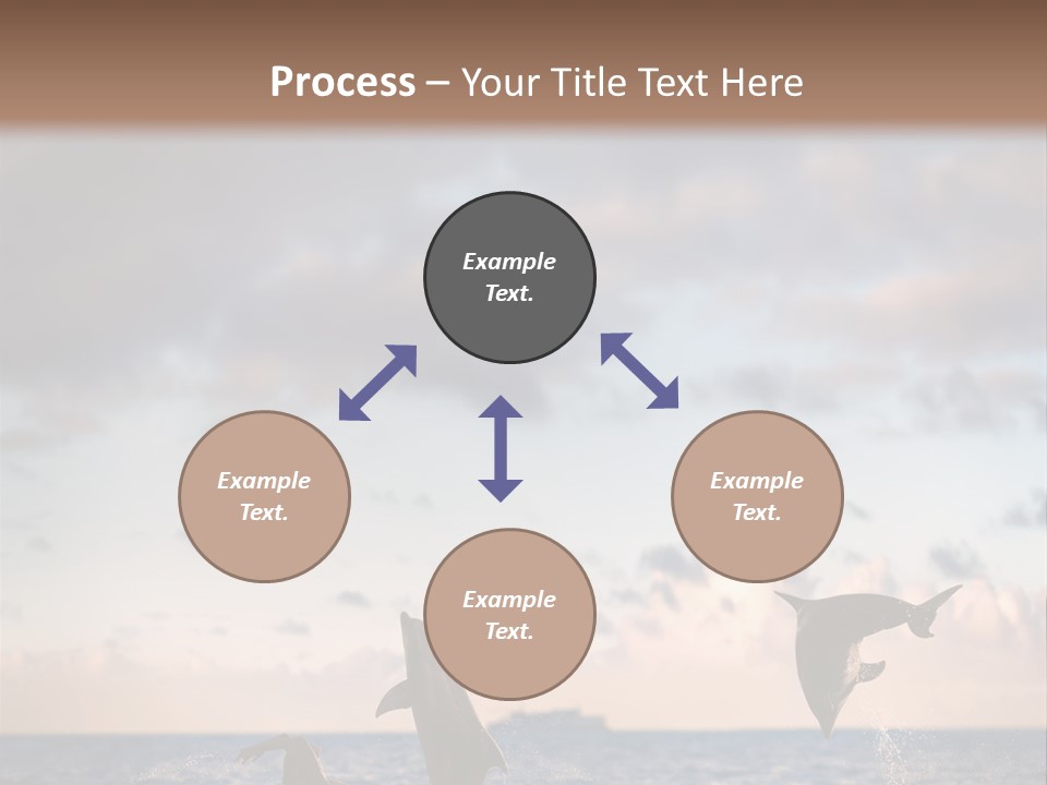 Swimming Wildlife Summer PowerPoint Template