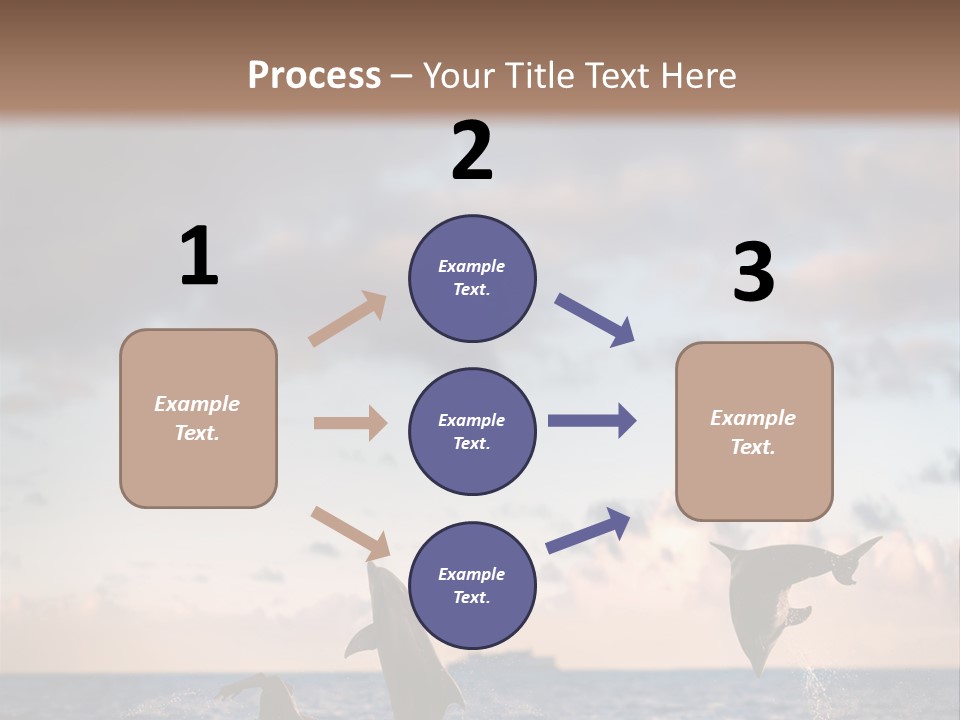 Swimming Wildlife Summer PowerPoint Template