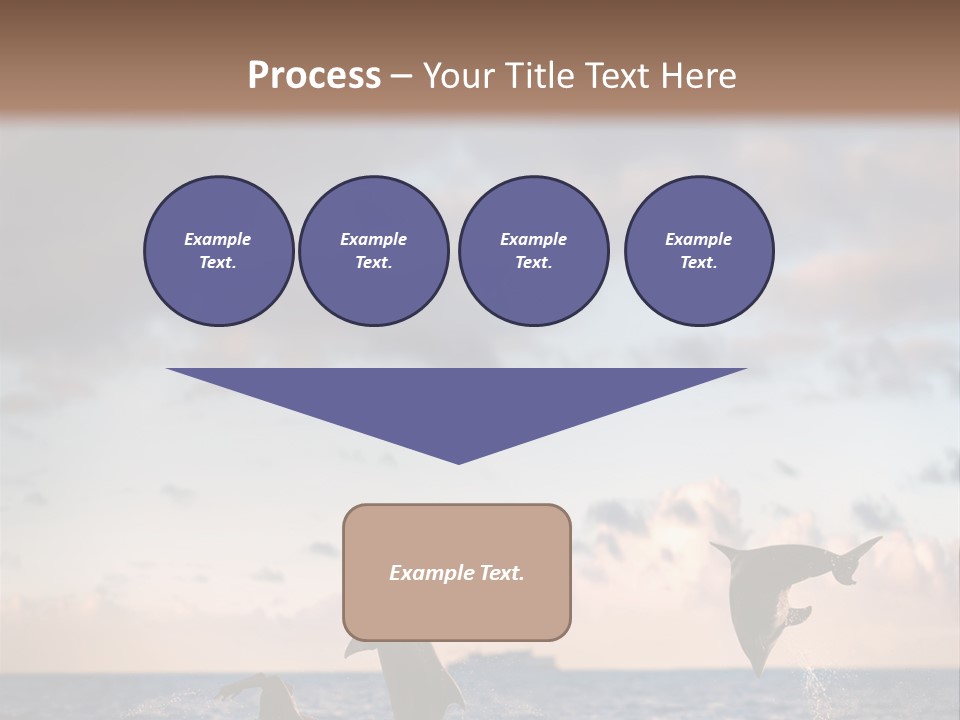 Swimming Wildlife Summer PowerPoint Template