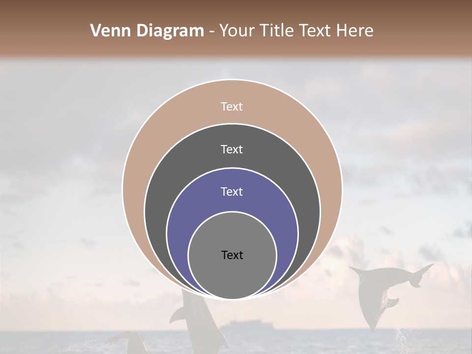 Swimming Wildlife Summer PowerPoint Template