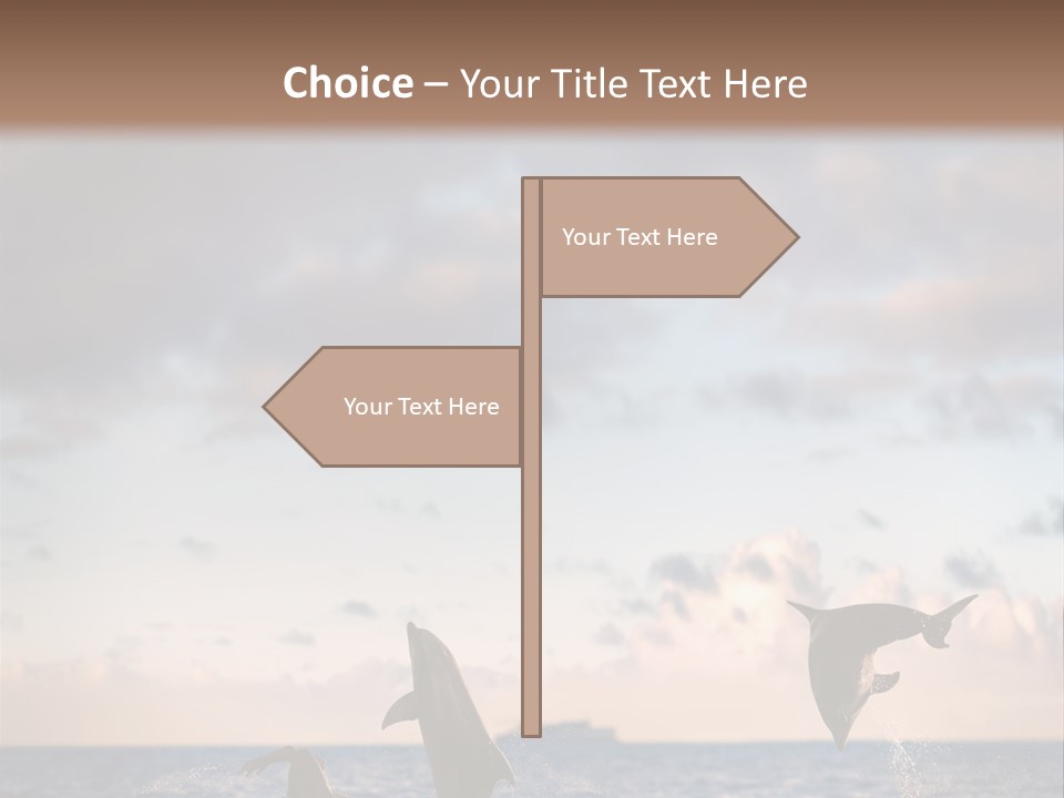 Swimming Wildlife Summer PowerPoint Template