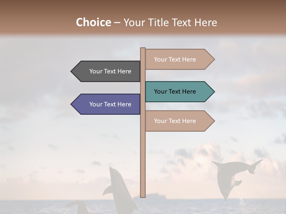 Swimming Wildlife Summer PowerPoint Template