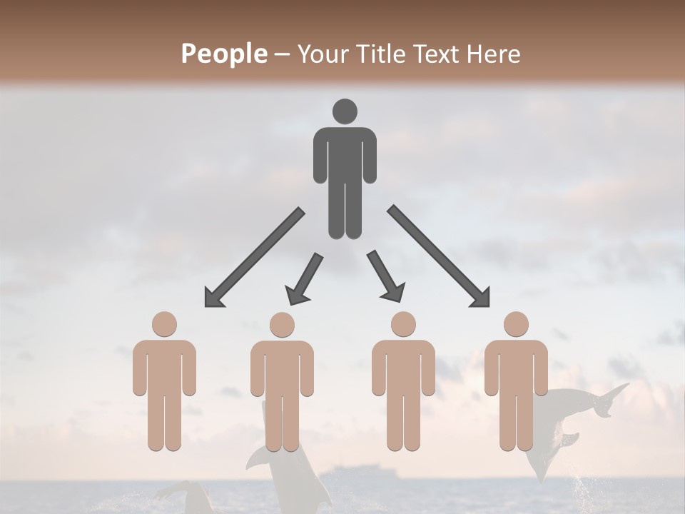 Swimming Wildlife Summer PowerPoint Template