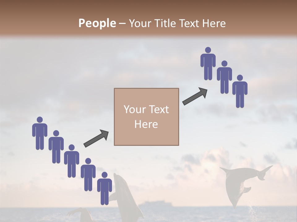 Swimming Wildlife Summer PowerPoint Template