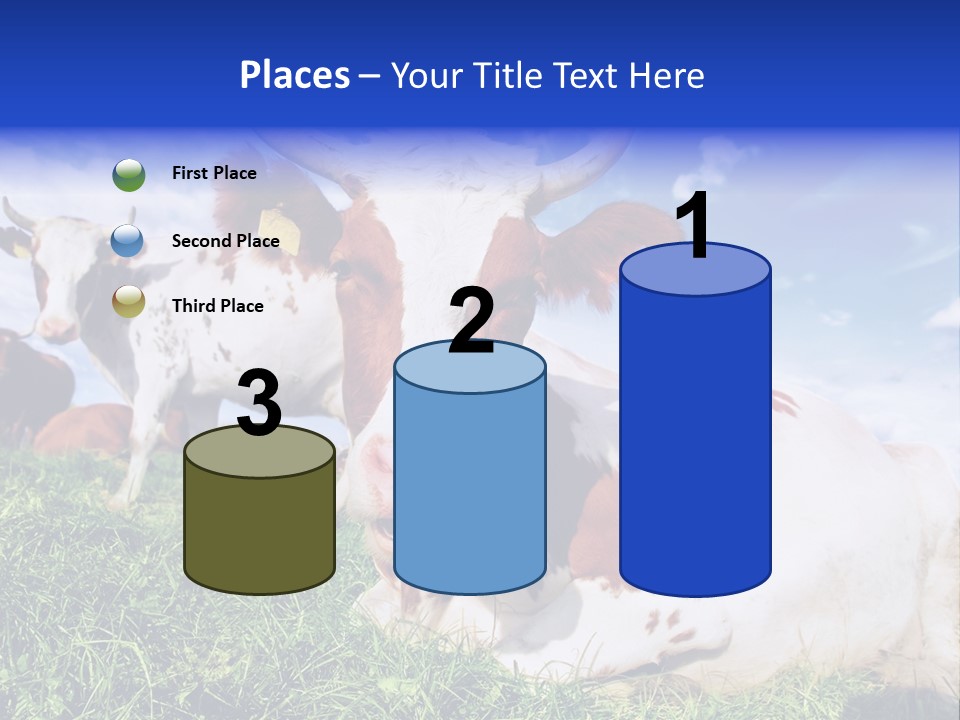 Billboard Demonstration White PowerPoint Template