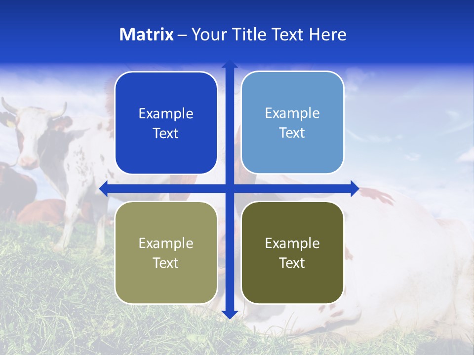 Billboard Demonstration White PowerPoint Template