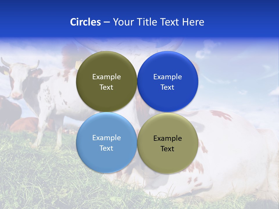 Billboard Demonstration White PowerPoint Template
