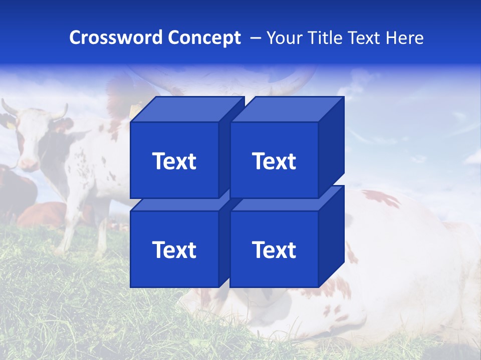 Billboard Demonstration White PowerPoint Template