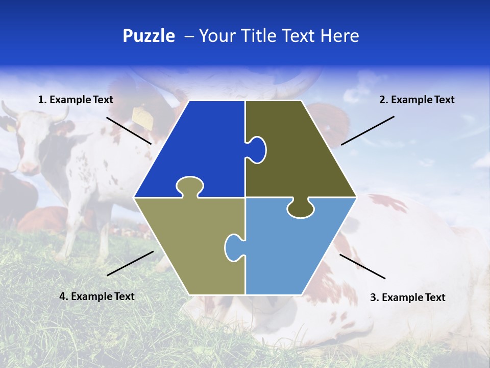 Billboard Demonstration White PowerPoint Template