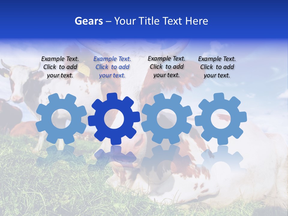 Billboard Demonstration White PowerPoint Template