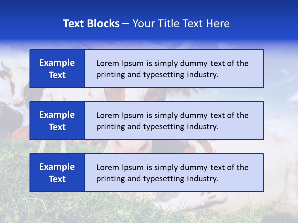 Billboard Demonstration White PowerPoint Template