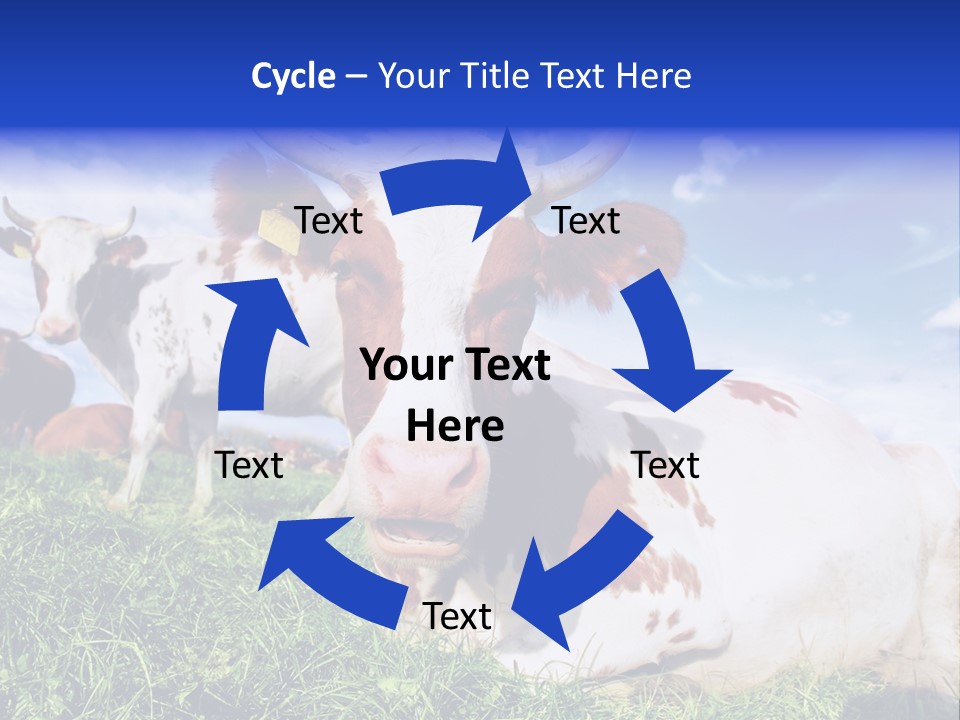 Billboard Demonstration White PowerPoint Template