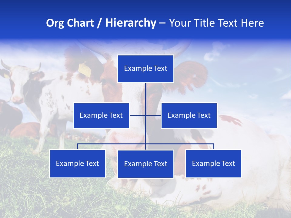 Billboard Demonstration White PowerPoint Template