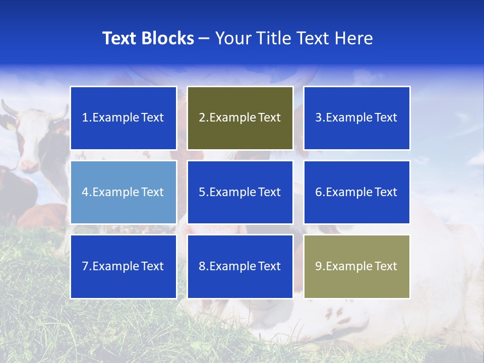 Billboard Demonstration White PowerPoint Template