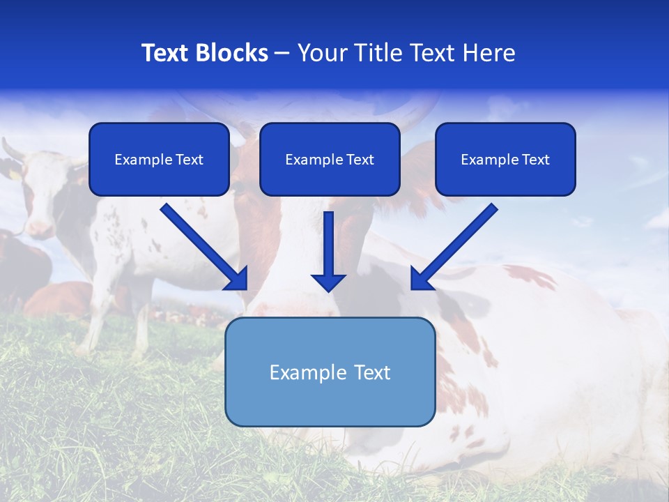 Billboard Demonstration White PowerPoint Template