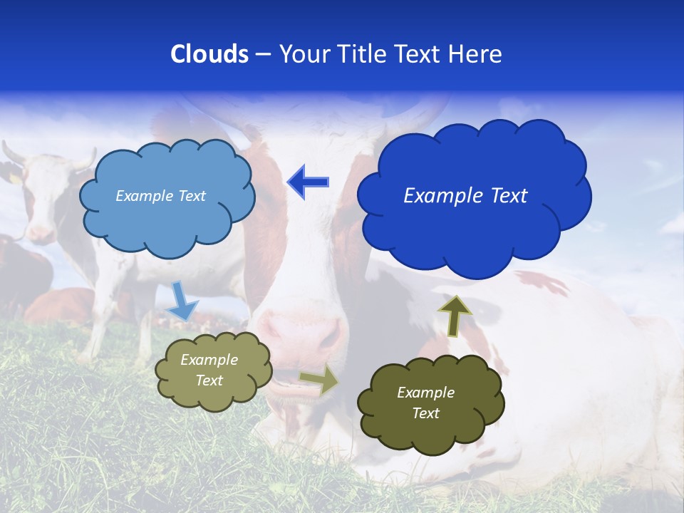 Billboard Demonstration White PowerPoint Template