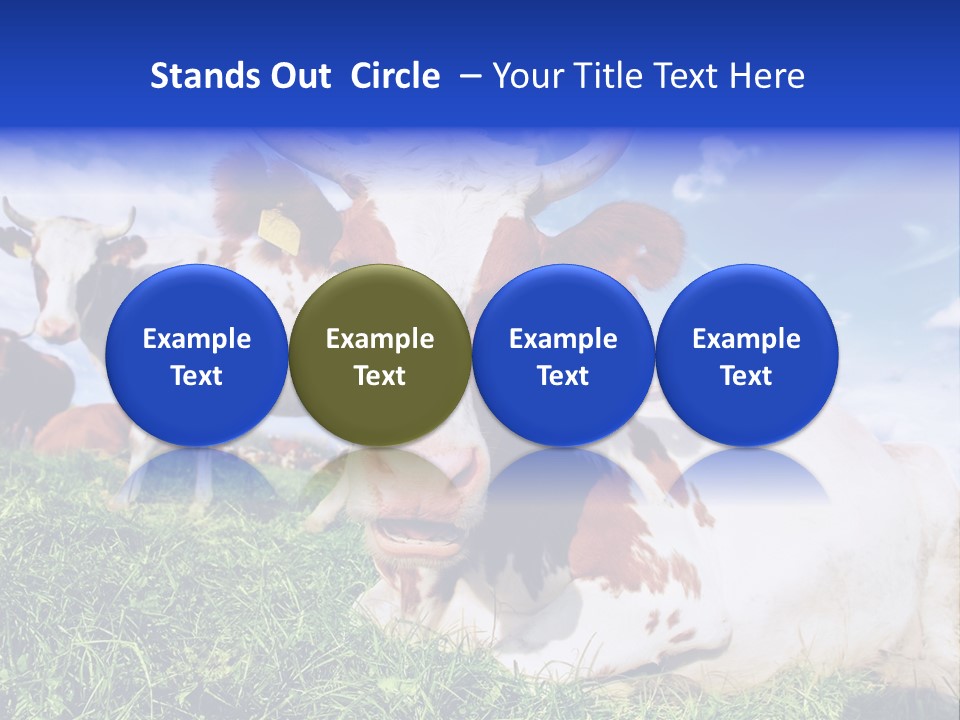 Billboard Demonstration White PowerPoint Template