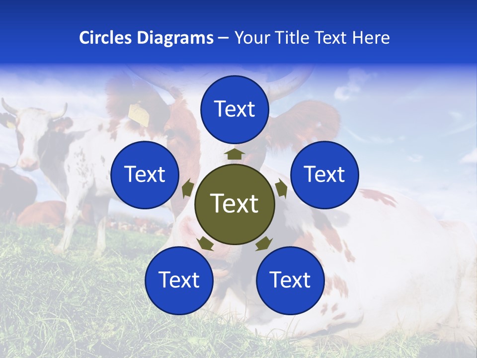 Billboard Demonstration White PowerPoint Template