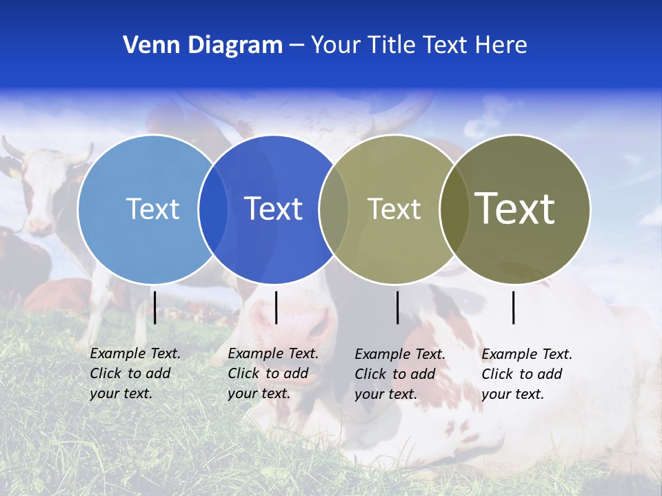 Billboard Demonstration White PowerPoint Template