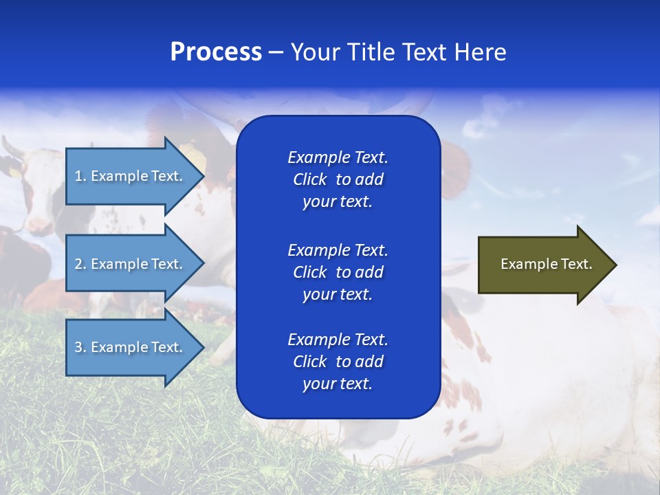 Billboard Demonstration White PowerPoint Template