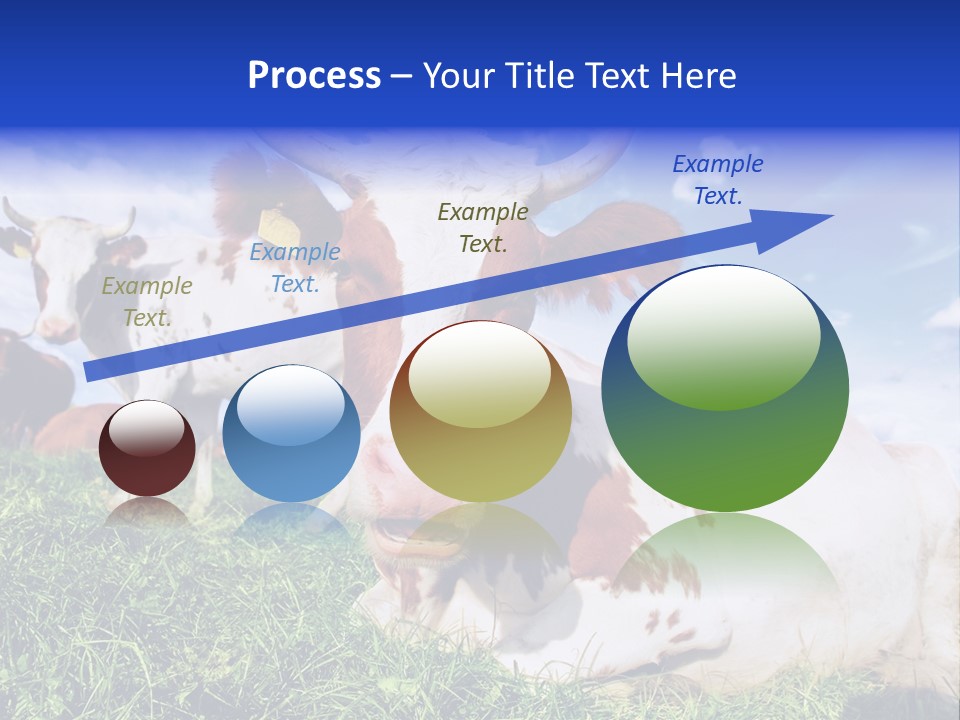 Billboard Demonstration White PowerPoint Template