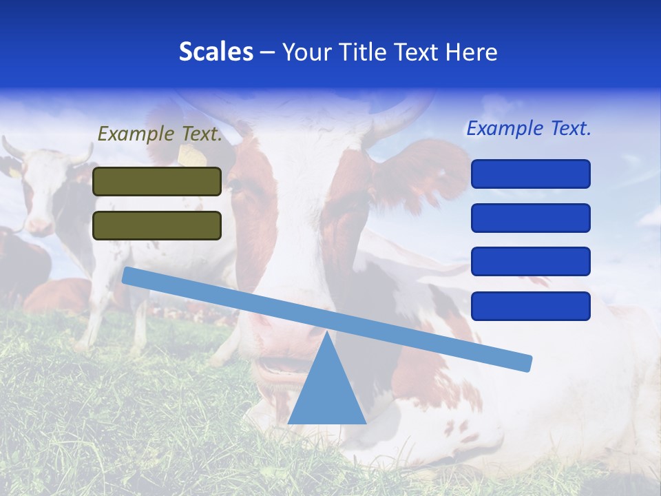 Billboard Demonstration White PowerPoint Template