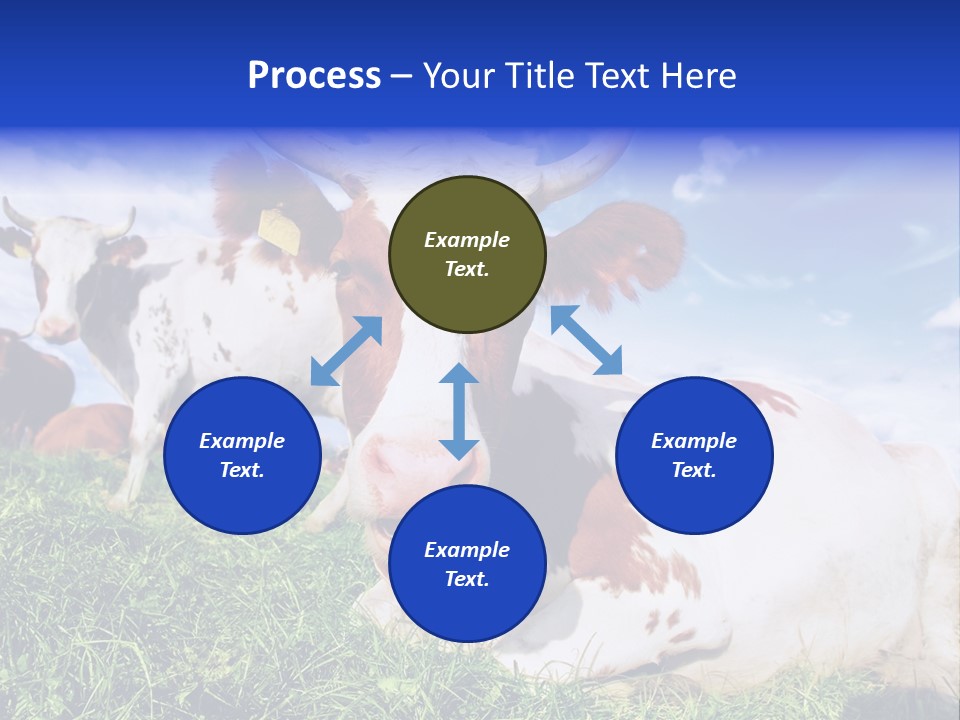 Billboard Demonstration White PowerPoint Template
