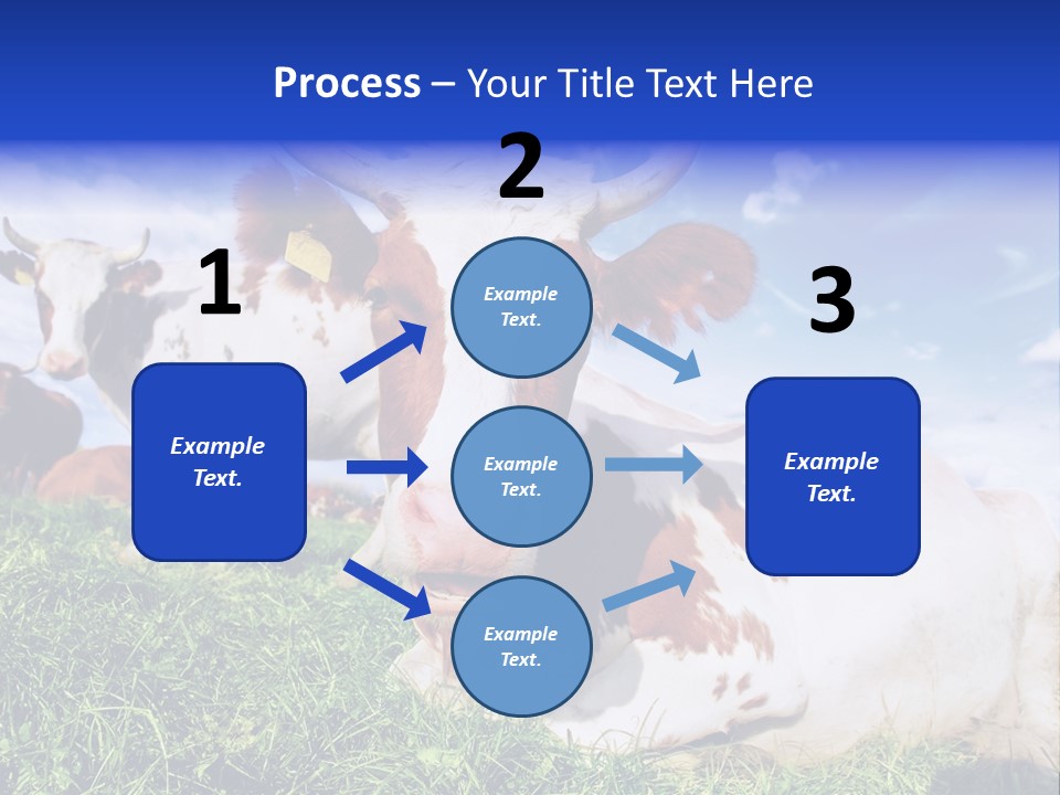 Billboard Demonstration White PowerPoint Template