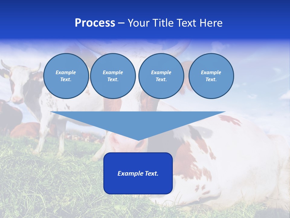 Billboard Demonstration White PowerPoint Template
