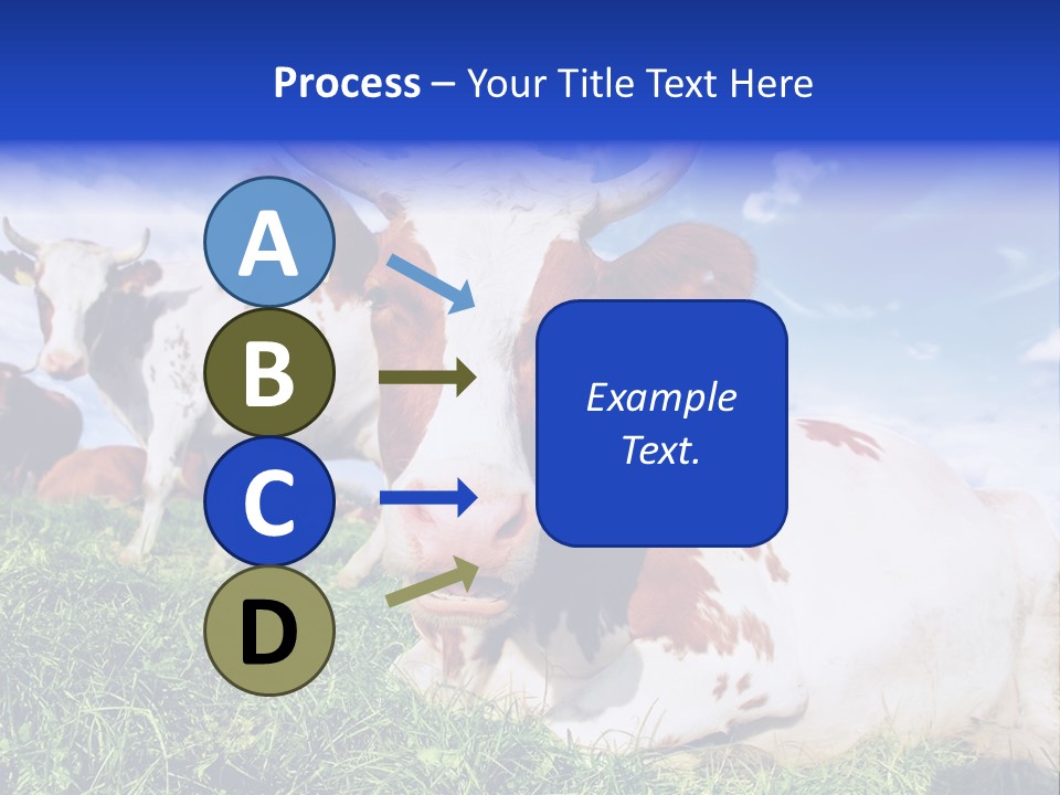 Billboard Demonstration White PowerPoint Template