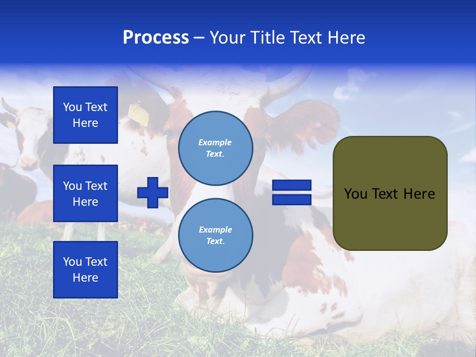 Billboard Demonstration White PowerPoint Template