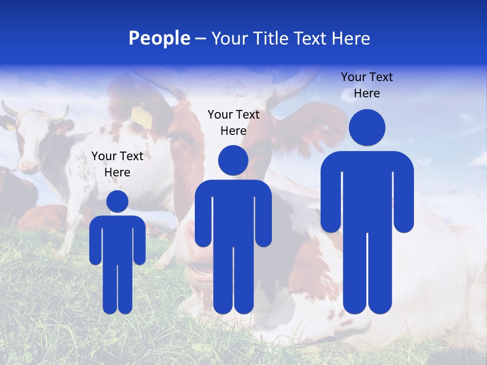 Billboard Demonstration White PowerPoint Template