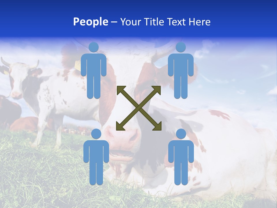 Billboard Demonstration White PowerPoint Template