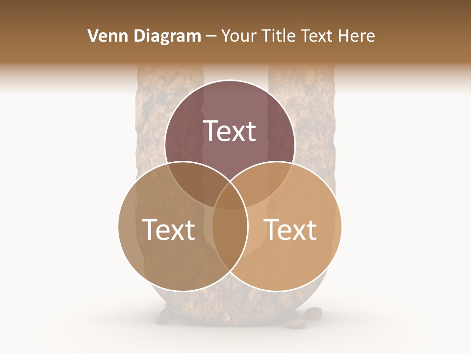 Type Design Alphabetical PowerPoint Template