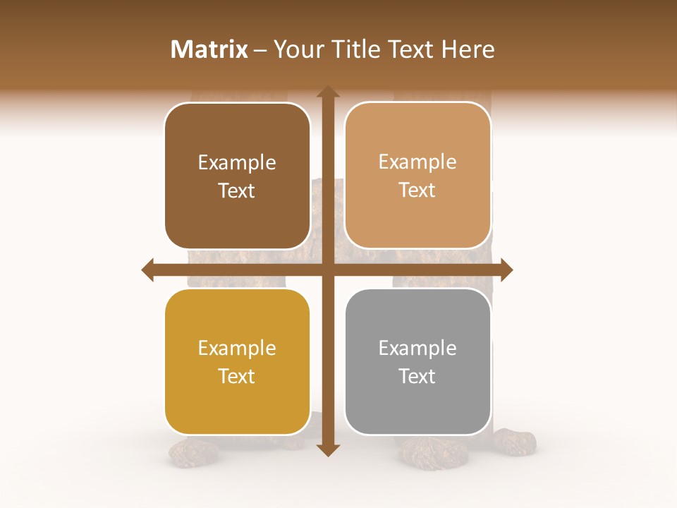 Typeset Decorative Write PowerPoint Template