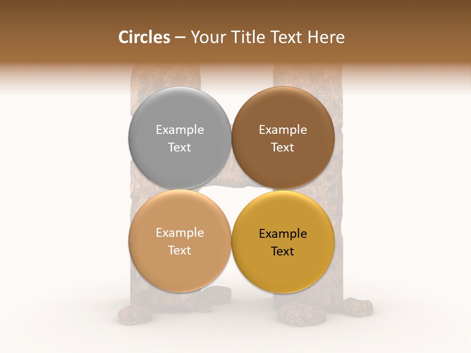 Typeset Decorative Write PowerPoint Template